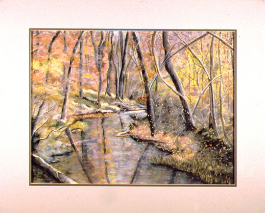 Woodland Solitude