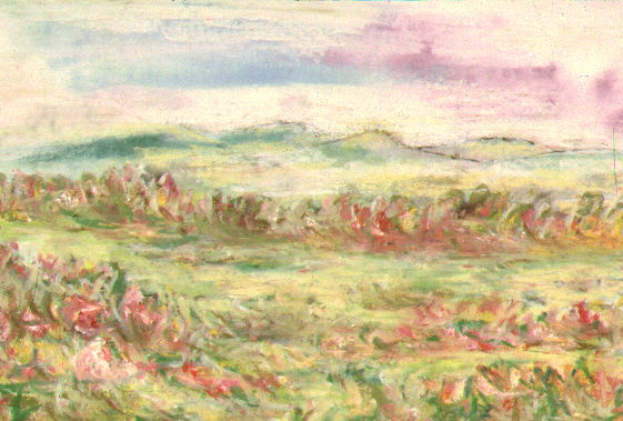 Sweeping Field 2