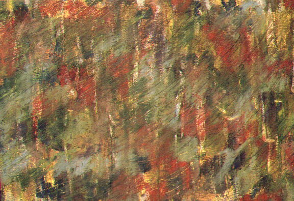 Rain Colors