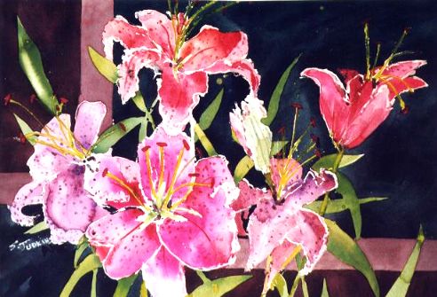 Lillies